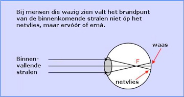 hoe werkt een gaatjesbril?