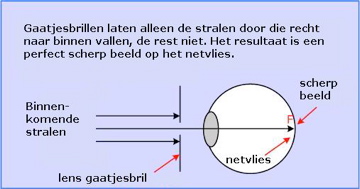 hoe werkt een rasterbril?