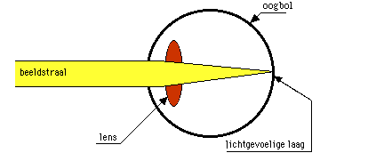 Tekening van normaal ziend oog dat in de verte kijkt